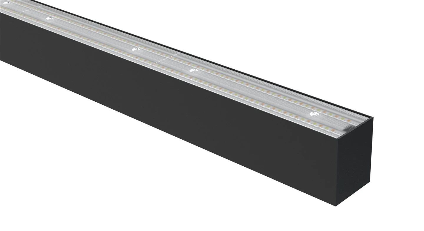 Marco Linear--3