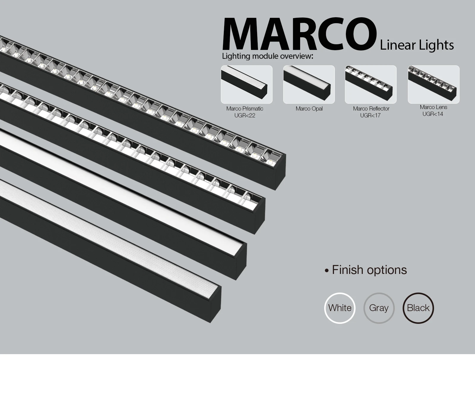 Marco01